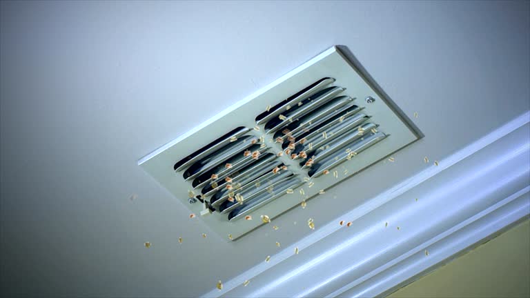 Best Affordable HVAC Duct Cleaning  in Duquesne, MO