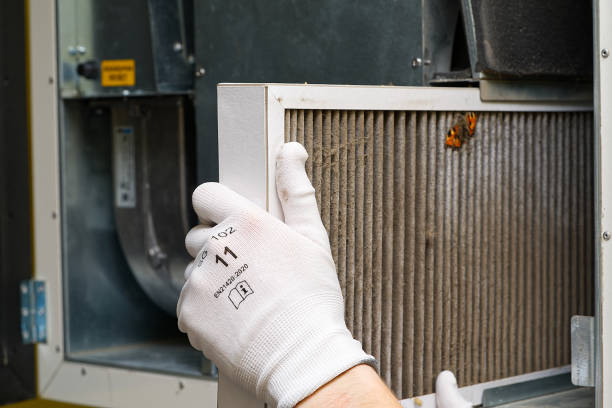 Best Home Air Vent Cleaning  in Duquesne, MO
